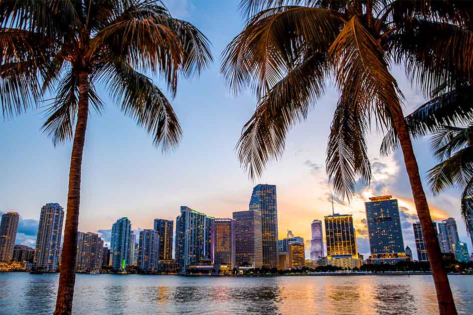Miami, FL skyline as seen through palm trees during the sunset.