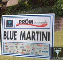 Blue Martini Gallery